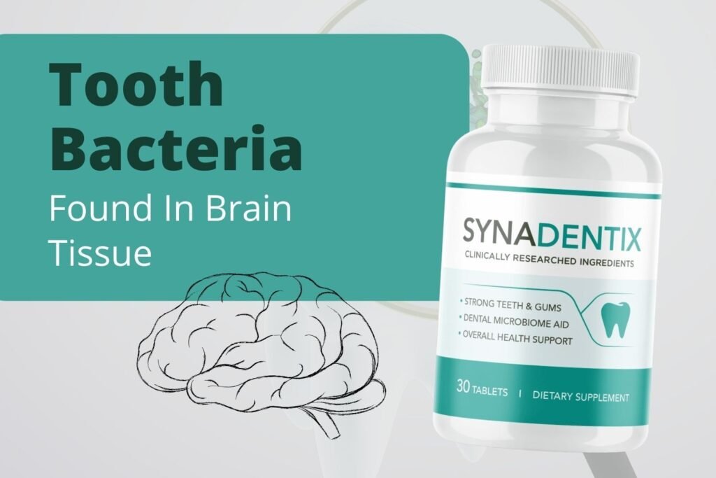 7 Honest Synadentix Review and Reviews Exposed 6 7 Honest Synadentix Review and Reviews Exposed