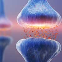 5 Audifort Review and Reviews: Key Proven Pros & Side Effects