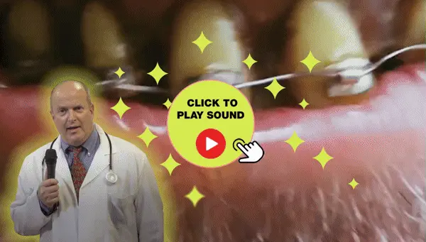 7 Honest ProDentim Review And Reviews Benefits & Side Effects.