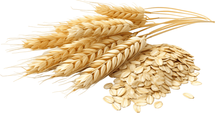 7 Honest Synadentix Review and Reviews Exposed 11 7 Honest Synadentix Review and Reviews Exposed