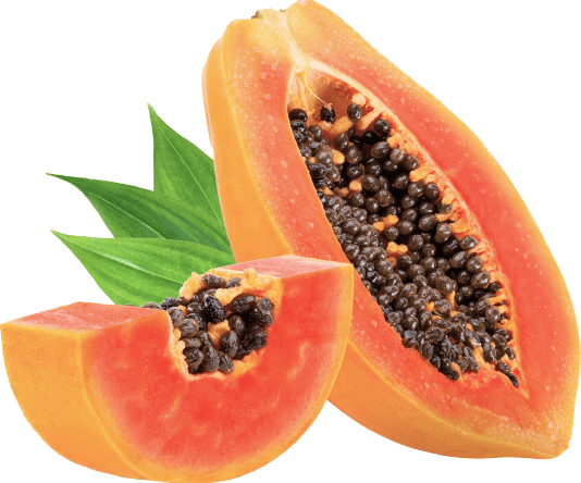 7 Honest Synadentix Review and Reviews Exposed 12 7 Honest Synadentix Review and Reviews Exposed