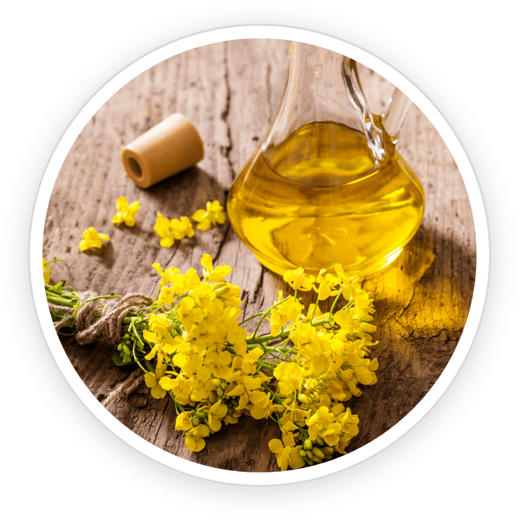 7 Seven Complete ProNail Complex Review and Reviews Issues