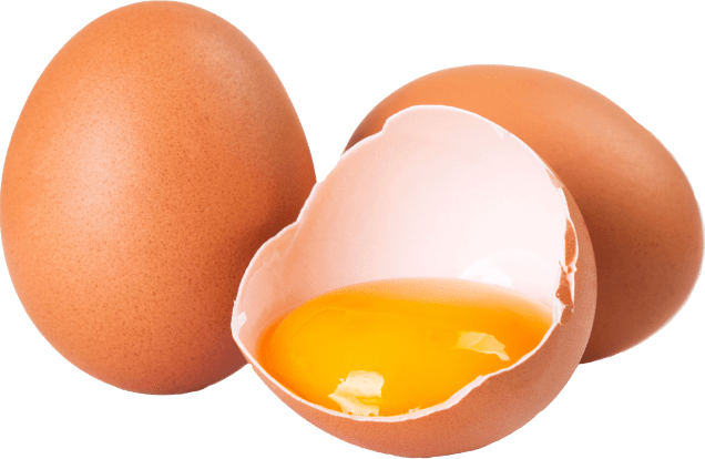 7 Honest Synadentix Review and Reviews Exposed 17 7 Honest Synadentix Review and Reviews Exposed