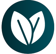 5 Audifort Review and Reviews: Key Proven Pros & Side Effects