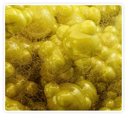 7 Seven CitrusBurn Review and Reviews: Honest Truth & Flaws 15 7 Seven CitrusBurn Review and Reviews: Honest Truth & Flaws