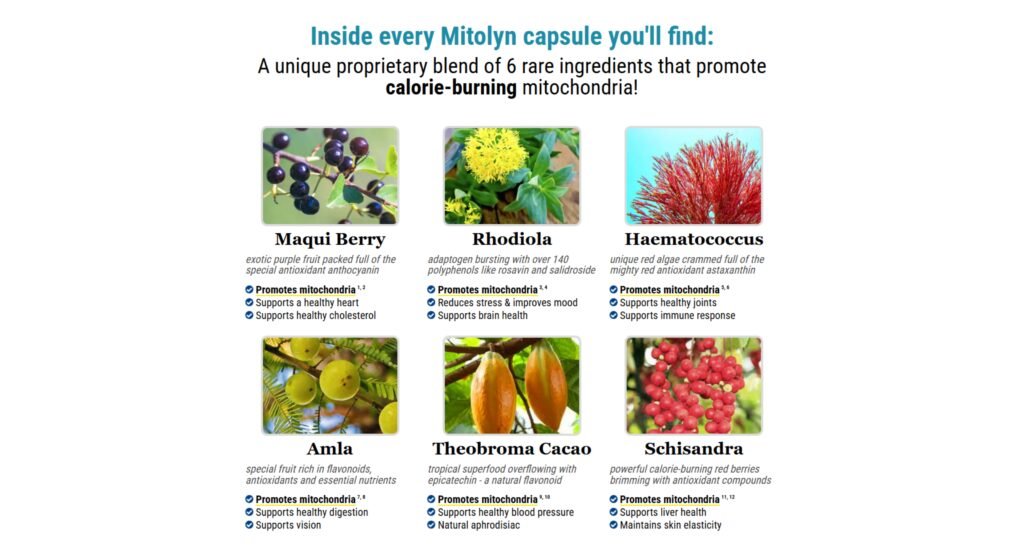 Mitolyn Review 2026: Benefits, Ingredients & Safety Guide