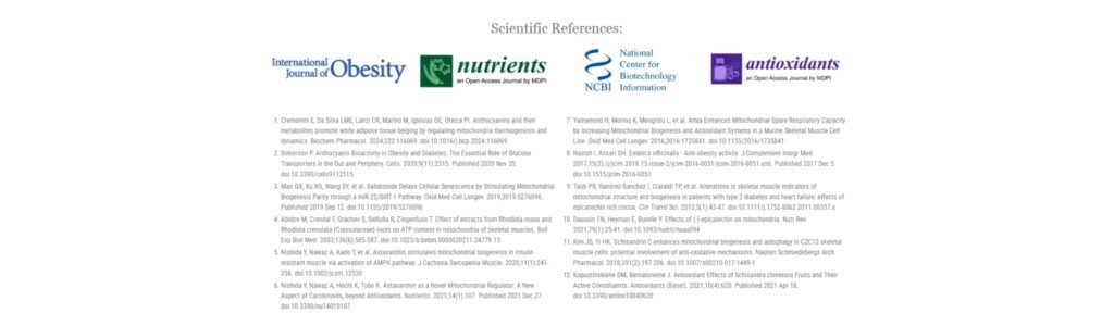 Mitolyn Review 2026: Benefits, Ingredients & Safety Guide